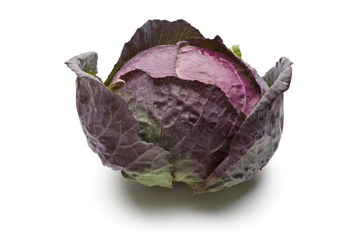 Red cabbage on white background