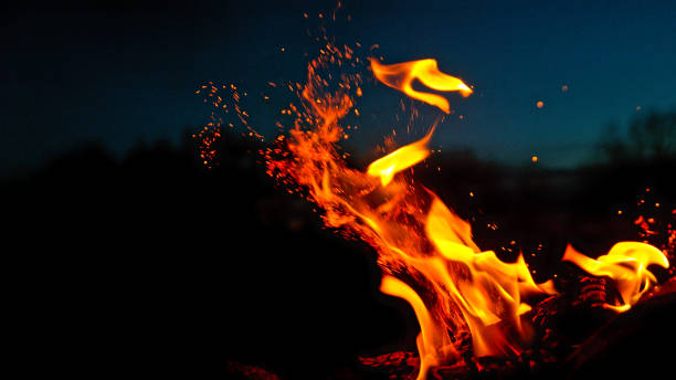 istock A Bonfire Burning in the Forest Meadow During Sunset. 1455556989