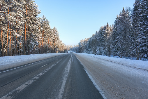View of the asphalt road with a drowsy forest along the roadsides. Road cleared of snow and ice. Fairytale pine forest flooded with sun in winter.