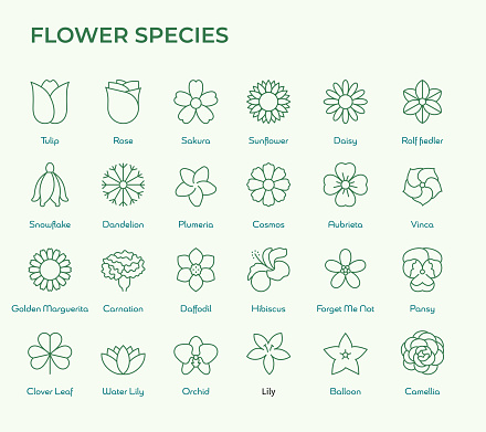 Flower Species Icons such as Tulip, Rose, Daisy, Lily, Orchid and so on. Editable Stroke Vector Line Icons. Pixel Perfect.