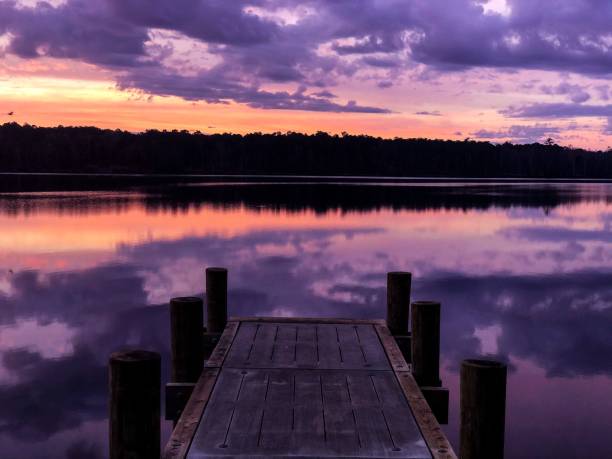 istock Mesmerizing purple sunset over the lake shore with a pier 1455559398