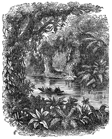 Traditional dugout canoe on the Amazon River in Brazil. Vintage etching circa 19th century.