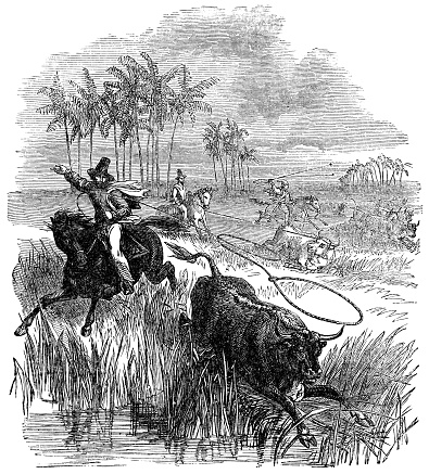 Gauchos lassoing cattle in the Pampas region of Argentina. Vintage etching circa 19th century.