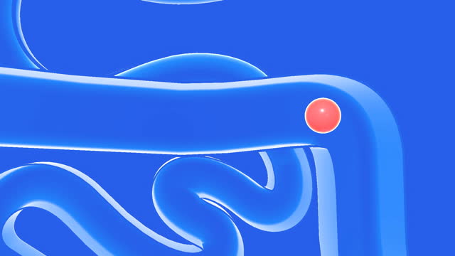 3d transparent glass animation of a food going through the digestive system.