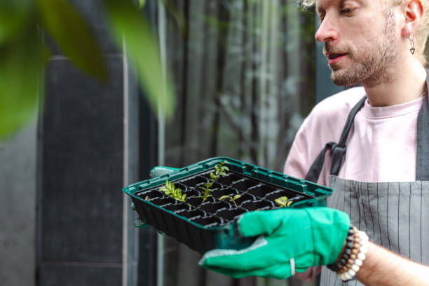 istock Young man being passionate about his gardening hobby 1455563075