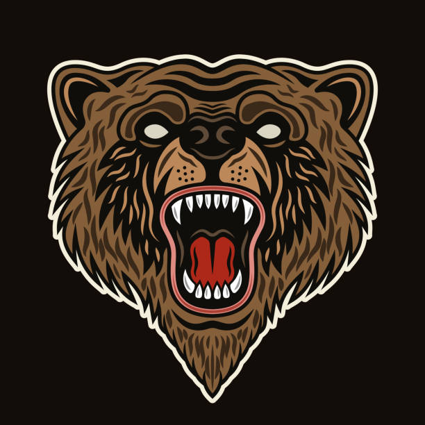 istock Bear snout with open roaring mouth vector illustration in colored style on dark background 1455564168
