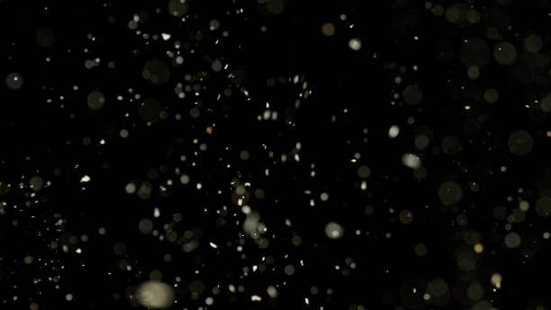 istock Dust and wood sawdust on a black background 1455566195