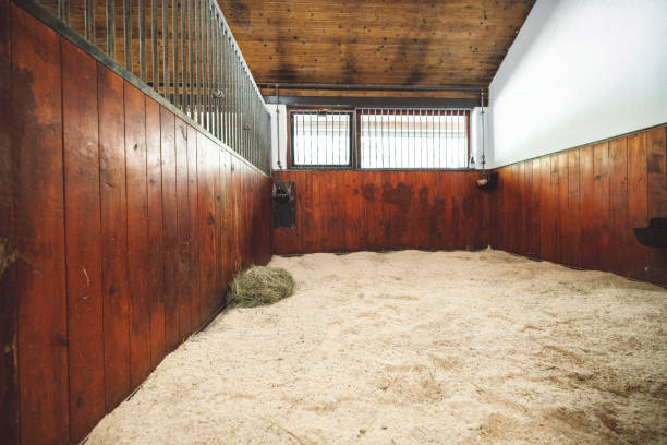 istock Large clean empty horse stable at the ranch 1455567759