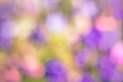 background, bokeh in purple pink green. Spring flowers. Gentle spring background