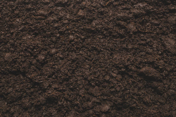 istock Black land for plant background. 1455579747