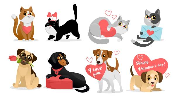 set von niedlichen haustieren für den valentinstag. liebeskarten mit katzen- und hundefiguren - white background valentines day box heart shape stock-grafiken, -clipart, -cartoons und -symbole