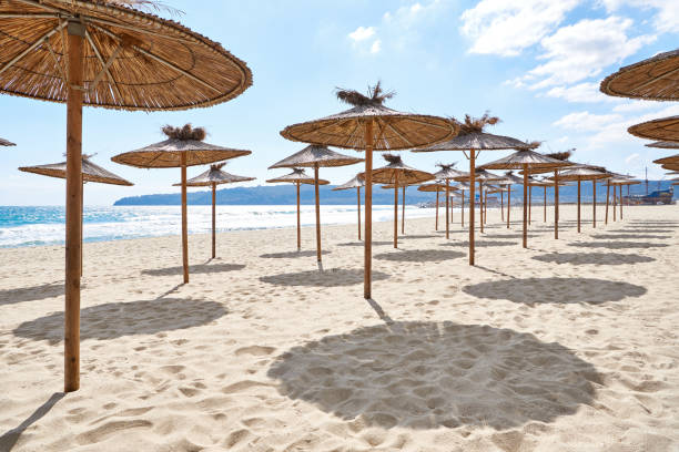 istock Beach wooden umbrellas on sand by sea 1455587010