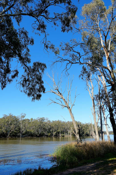 istock Euston,  New South Wales, Australia 1455588643