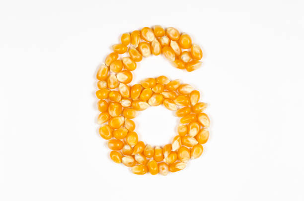 istock Number 6 from popcorn seeds isolated on white background. 1455591324