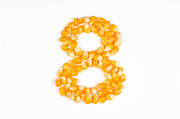 istock Number 8 from popcorn seeds isolated on white background. 1455591330