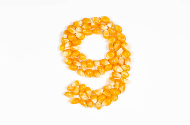 istock Number 9 from popcorn seeds isolated on white background. 1455591334