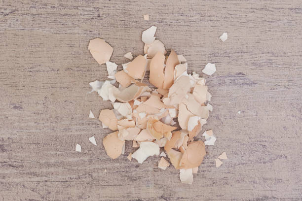 istock Closeup shot of eggshells on the wooden surface 1455591777