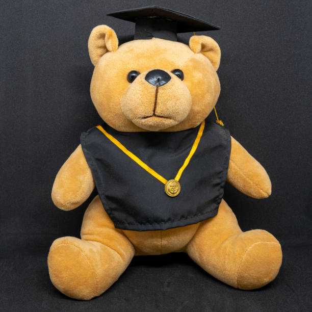 istock graduate bear teddy bear. cap and gown. 1455593882