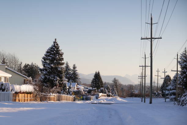 istock Snow on a Green Belt in British Columbia, Canada 1455595706