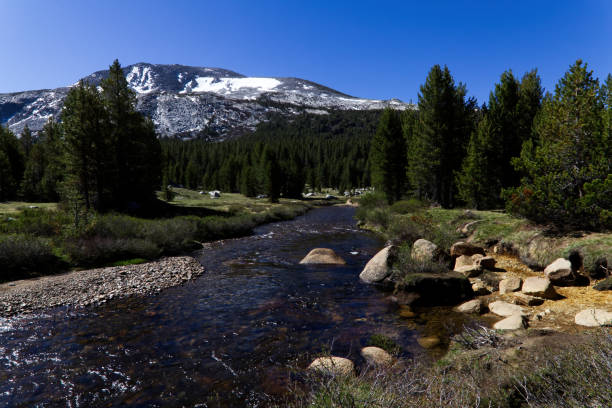 istock Merced River Running Through Yosemite National Park 1455602560