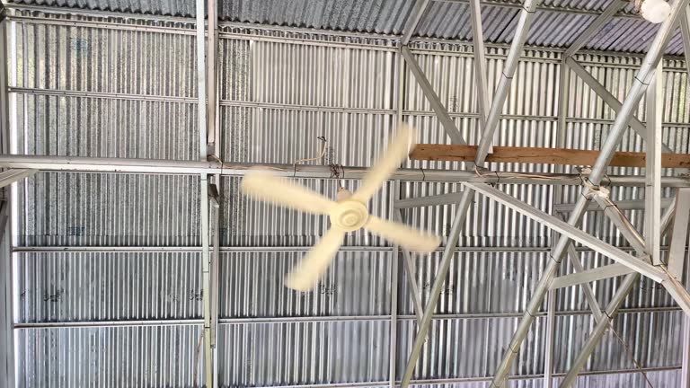 ceiling fans spin above the tin roof on hot days