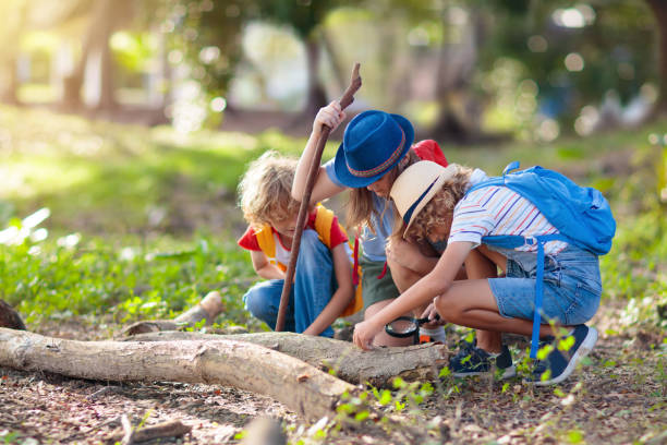 istock Kids explore nature. Children hike in sunny park. 1455606308