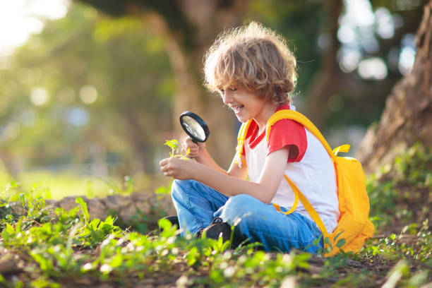 istock Kids explore nature. Children hike in sunny park. 1455606496