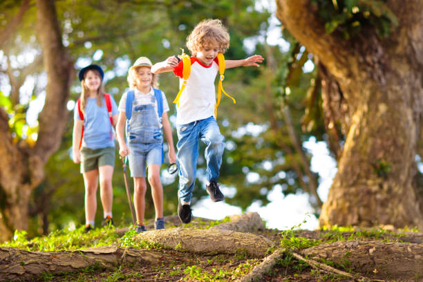 istock Kids explore nature. Children hike in sunny park. 1455607126