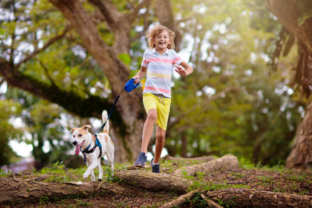 istock Child and dog walk in summer park 1455607334