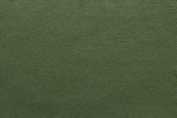 istock Rough green paper texture for background 1455614798