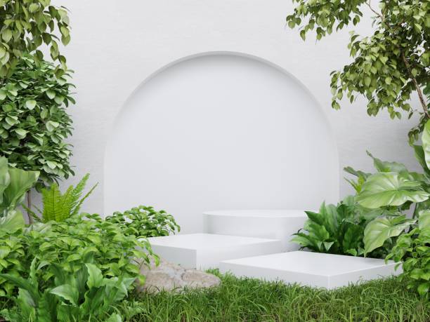 istock White pedestal in tropical forest for product presentation and white plaster wall. 1455618913