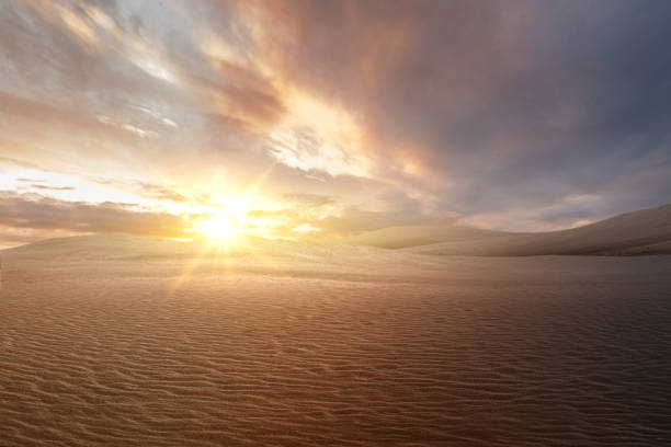 istock Views of sand dune 1455622875