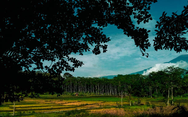 istock beautiful panorama in the village 1455623377