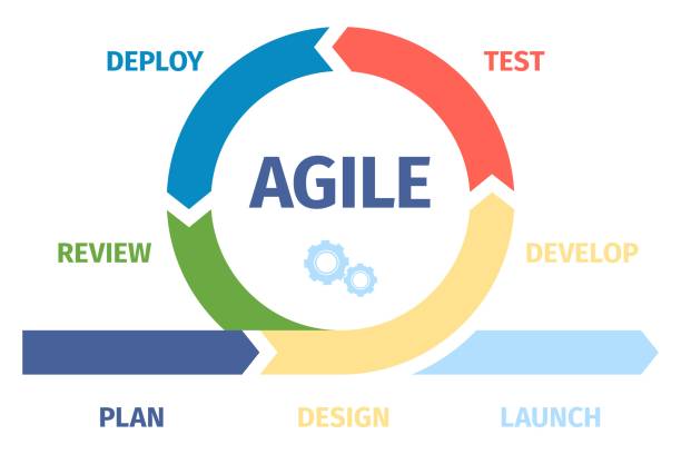 Agile management and develop process infographic. Work sprint cycling diagram, scrum metod in project. Agility style working graphic recent vector icon Agile management and develop process infographic. Work sprint cycling diagram, scrum metod in project. Agility style working vector icon of software agile development process business illustration backlog stock illustrations