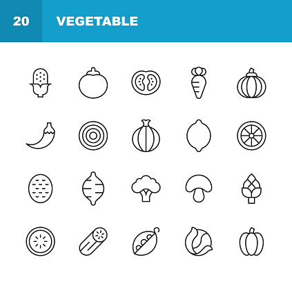 20 Vegetable Outline Icons. Agriculture, Asparagus, Avocado, Beans, Beetroot, Broccoli, Carrot, Corn, Cucumber, Delivery, Diet, Eating, Ecology, Environment, Food, Food Delivery, Fruit, Garlic, Groceries, Healthy Lifestyle, Lemon, Lettuce, Mushroom, Onion, Parsley, Pepper, Potato, Pumpkin, Raw Food, Spinach, Sweet Potato, Tomato, Vegan, Vegetables, Vegetarian, Vitamin, Zucchini.