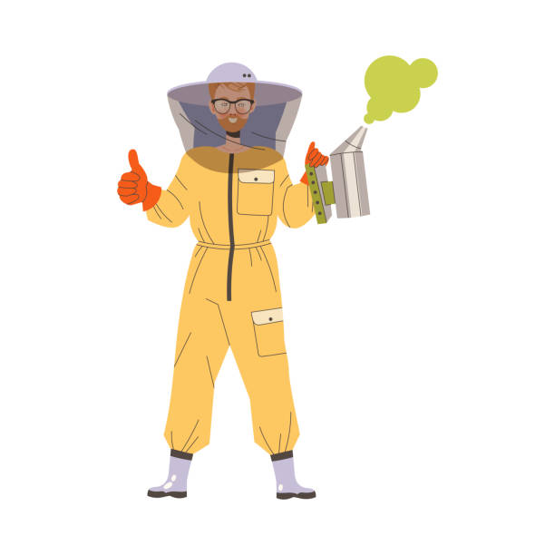 Equipped Man Beekeeper or Apiarist with Smoker Showing Thumb Up Hand Gesture Vector Illustration Equipped Man Beekeeper or Apiarist with Smoker Showing Thumb Up Hand Gesture Vector Illustration. Young Male Engaged in Apiary and Farming hiver stock illustrations