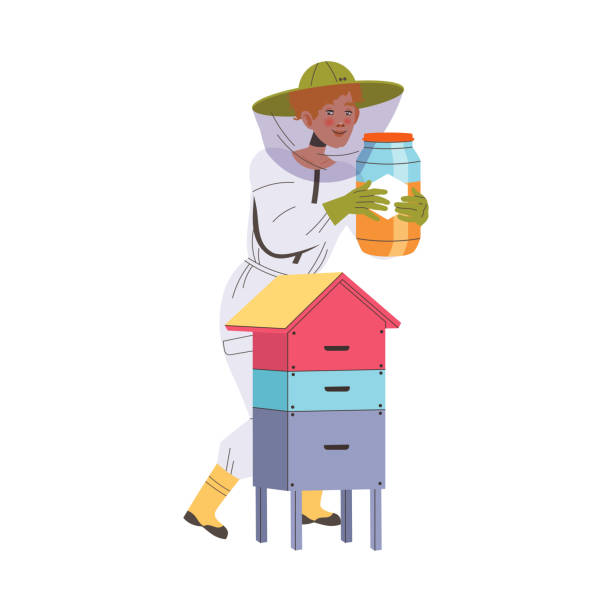 Equipped Man Beekeeper or Apiarist Gathering Sweet Honey from Beehive Vector Illustration Equipped Man Beekeeper or Apiarist Gathering Sweet Honey from Beehive Vector Illustration. Young Male Engaged in Apiary and Farming hiver stock illustrations