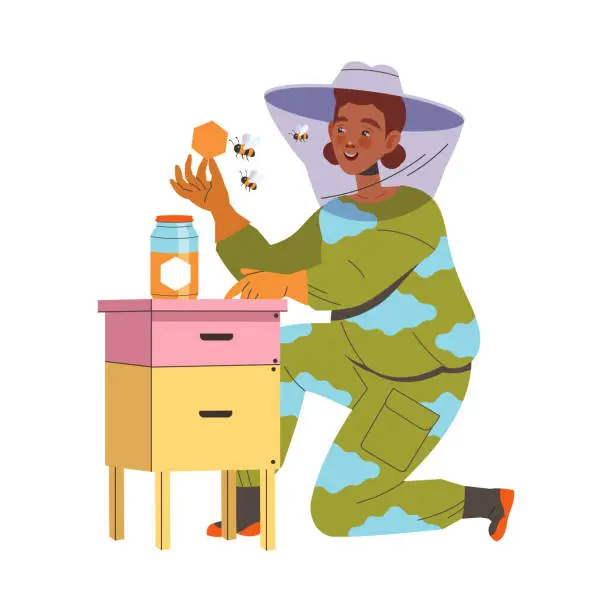 Vector illustration of Equipped Woman Beekeeper or Apiarist Gathering Sweet Honey from Beehive Vector Illustration