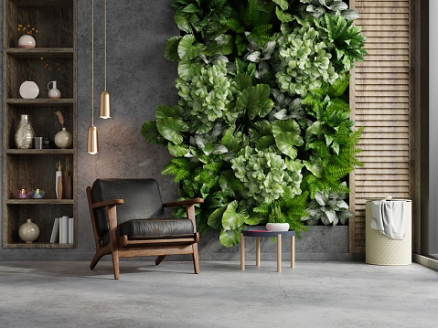 Green plant wall background with leather armchair on empty concrete wall.3d rendering