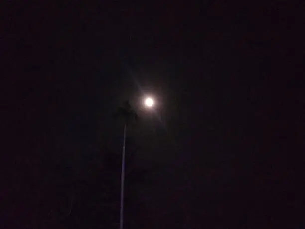 The beautiful moon in the night of new year.