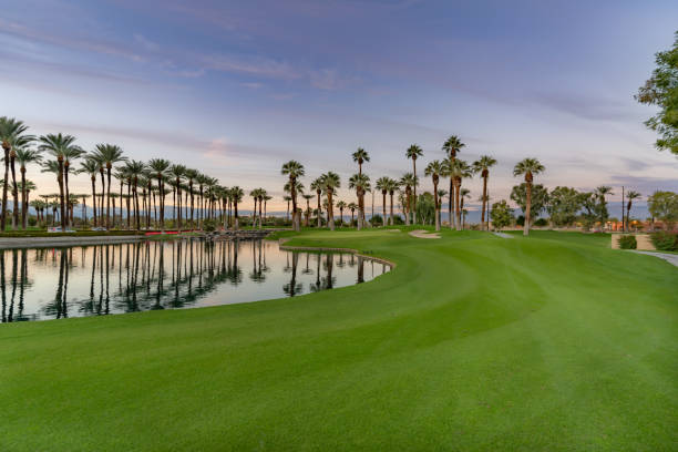живописный вечерний вид на поле для гольфа с пальмами и отражением на пруду - golf club golf golf course equipment стоковые фото и изображения