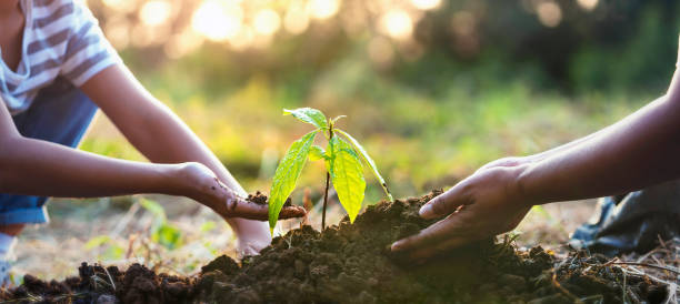 istock planting tree in garden. concept save world green earth 1455640115