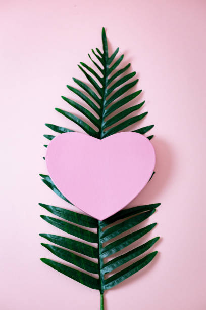istock One heart gift box with palm branch on a pink background. 1455642889