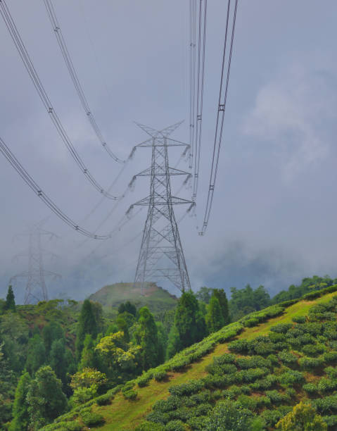istock Transmission tower over a tea garden near Mirik. 1455644789