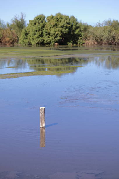 istock A lake with a small wooden post that is reflected in the water 1455646692