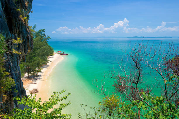 Thailand, Adult, Back Lit, Beach, Beach Holiday stock photo