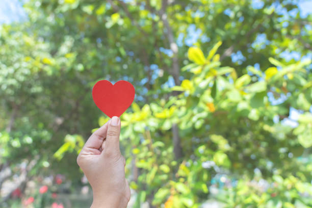 istock Environmental conservation concept using woman hand carrying heart shape with natural background 1455655214