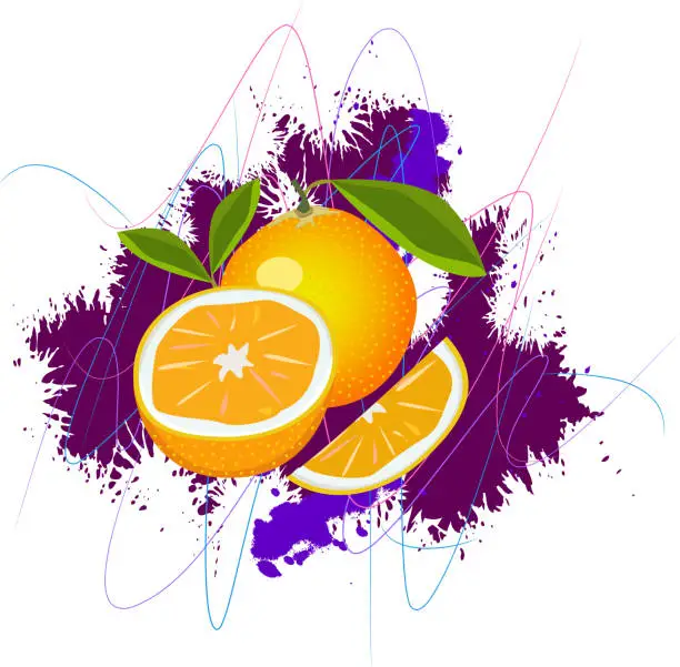 Vector illustration of orange with grunge background