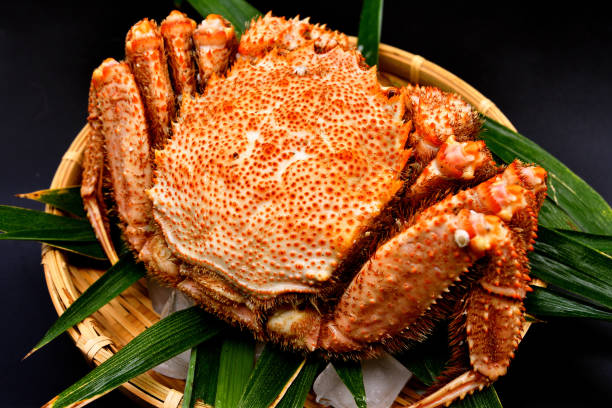 istock Hairy crab served on a bamboo basket. 1455655676