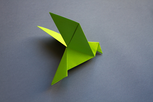 Green paper dove origami isolated on a blank grey background.